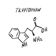 Tryptophan molecule formula. Hand drawn imitation of amino acid structural model, Trp chemistry formula\