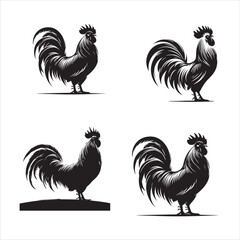 silhouettes of Proud Rooster  on clean vector isolated white background 