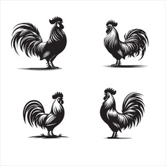 silhouettes of Proud Rooster  on clean vector isolated white background 