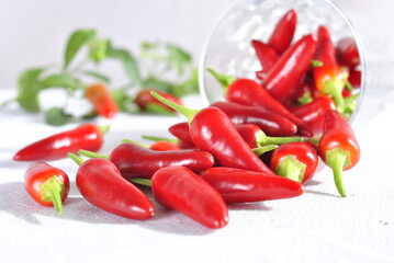 red hot chili pepper