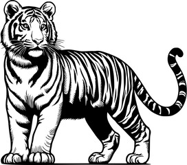 Obraz premium tiger