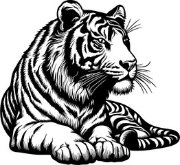tiger lineart