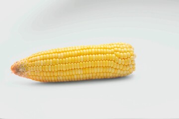 Raw corn cobs isolated on white background