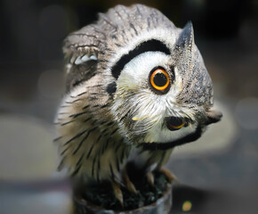 Eagle Owl with golden eyes is Beautiful
