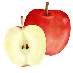 水彩風の赤いリンゴとカットしたリンゴ