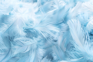 Colored gradient feather backgrounds close up