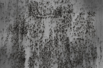 gray texture in the photo of an old iron wall