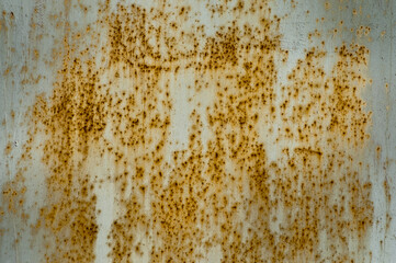 in the photo there is an old rusty metal wall close up