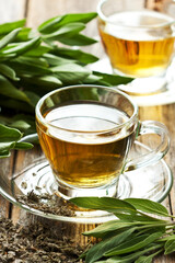 Infusion made from sage leaves. Medicinal herb Salvia officinalis