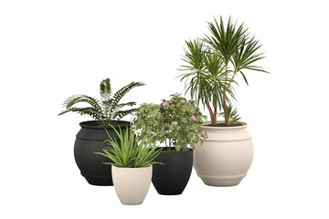 Plants in 3d rendering. Beautiful plant in 3d rendering isolated