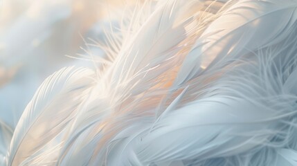 Fototapeta premium Close-up of delicate white feathers illuminated by soft light, creating a serene and peaceful atmosphere.