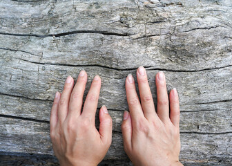 The hand that touches the bark