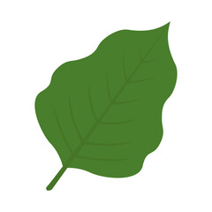 Tropical botanical palm leaves design on white