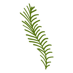 Tropical botanical palm leaves illustration design on the white background