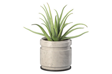 Plants in 3d rendering. Beautiful plant in 3d rendering isolated