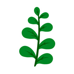 Botanical element Decorative branch Floral greenery