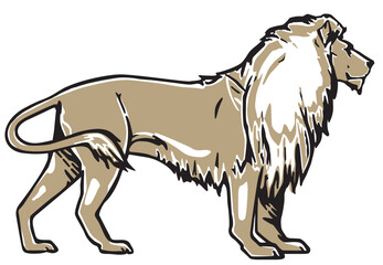 Löwe  Grafische Darstellung, isoliert Illustration-.eps © scusi