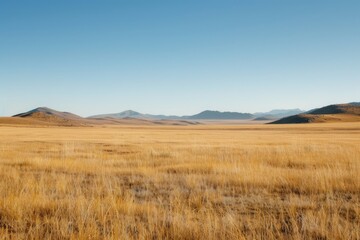 Wide Open Prairie with Distant Mountains