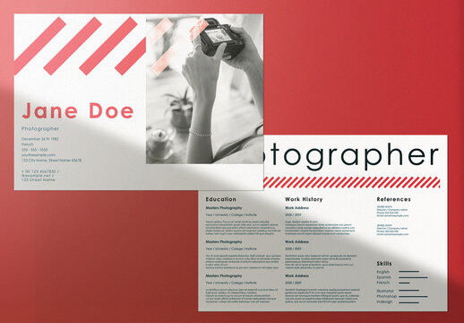 Professional Curriculum Vitae Layout
