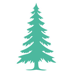 A tall green pine tree