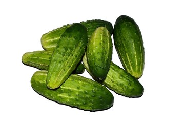 Small fresh picked cucumbers , very tasty on isolated white background