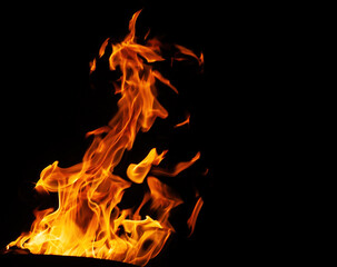 Orange fire flames on a black background