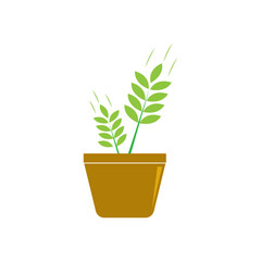 Seed plant icon