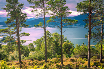 Fototapety na wymiar - Fototapeta24.pl