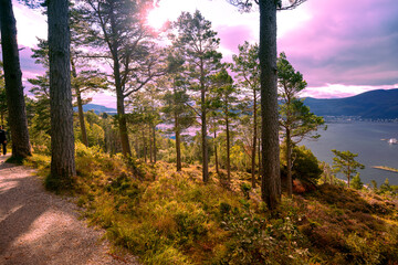 Fototapety na wymiar - Fototapeta24.pl