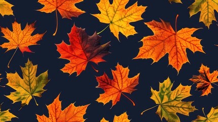 Colorful autumn leaves scattered over dark background