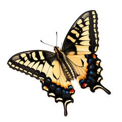 Naklejka premium Flying colorful butterfly isolated on transparent background. Papilio machaon