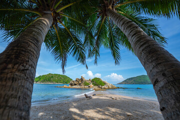 Peer through the coconut trees on the beach to see a small island surrounded by blue water..coconut palm trees at a tropical beach at Yanui beach Phuket.Beach Coconut Tree  Images and Stock Photos..