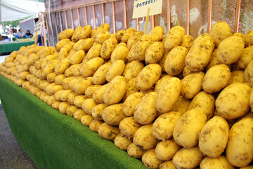 Organic fresh potatoes at Farmer's Market 