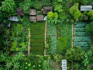 Glimpse of Lush Garden Vegetables in Hoi An, Vietnam