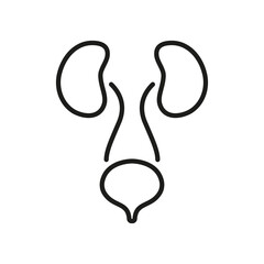 Human Urinary System Line Icon. Urology Disease Outline Icon. Anatomical Healthy Internal Organs. Health Bladder and Kidney Linear Pictogram. Editable Stroke. Isolated Vector Illustration