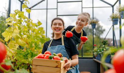 mother and daughter are gardening in the greenhouse
