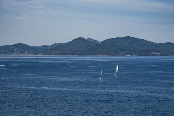 Vele nel Canale di Piombino