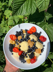 Cottage cheese pancakes with seasonal berries in a white plate