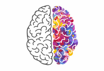 Watercolor brain, left and right hemispheres. Vector illustration