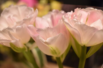 花　クローズアップ