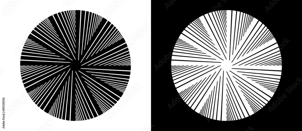 Poster Abstract background with lines in circle. Art design circle concept with 12 segments. Black lines on a white background and white lines on the black side.