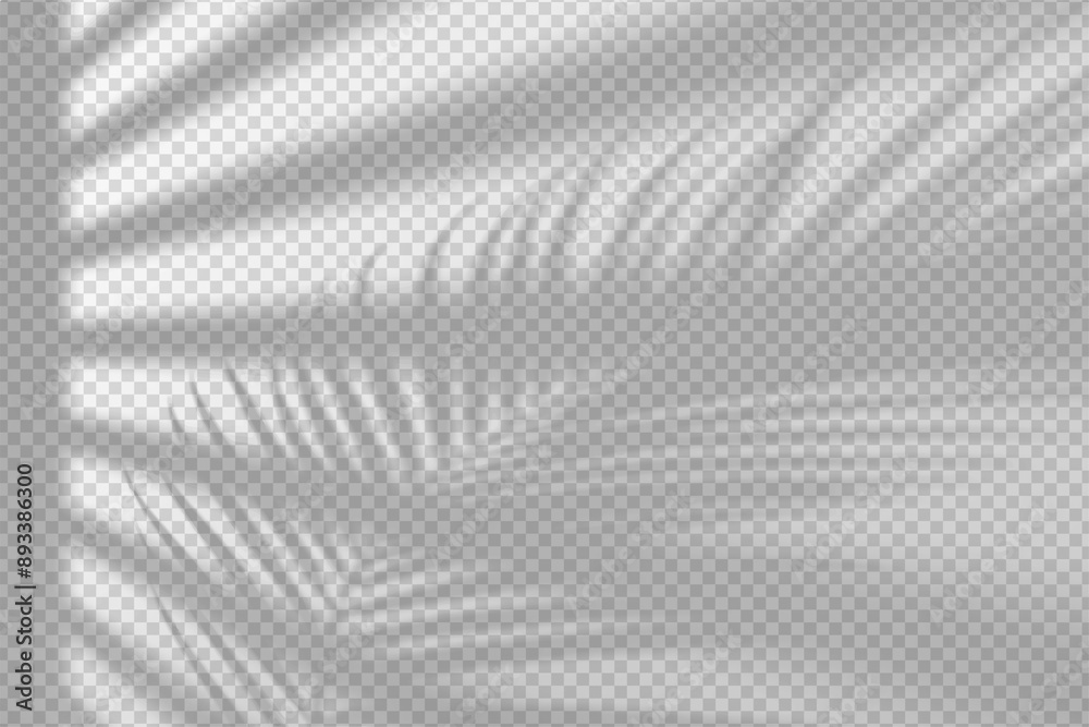 Wall mural light effect shadow overlay from blind with palm branch isolated transparent background. shade from 