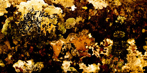 grunge background with gold