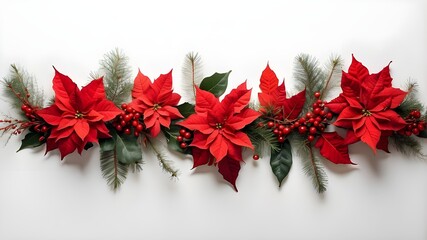 Isolated on a white backdrop, poinsettia flowers and Christmas tree branches form a festive line arrangement.