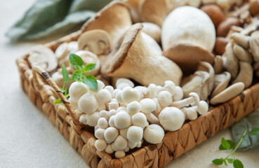 Assortment of various raw mushrooms