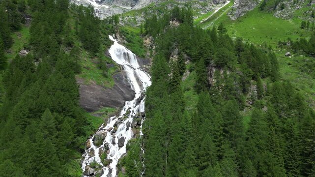Flowing water and Daisy flower  in the mountain landscape, waterfalls and streams bring water and life to the valley in spring and summer in Alpe Devero Italian and Swiss Alps , Ossola Italy
