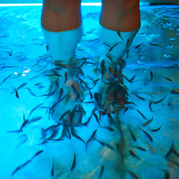 Fish, swimming and feet in water for pedicure, treatment and vacation to tropical island. Garra Rufa, spa and legs in pool for massage, cleaning or ichthyotherapy in Thailand for tourist or adventure