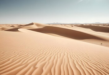 Endless, vast desert with golden sand on a warm, sunny day