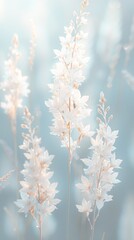 秋祭りのテーマの背景