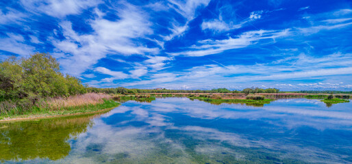 Tablas de Daimiel National Park, Daimiel, Ciudad Real, Castilla La Mancha, Spain, Europe